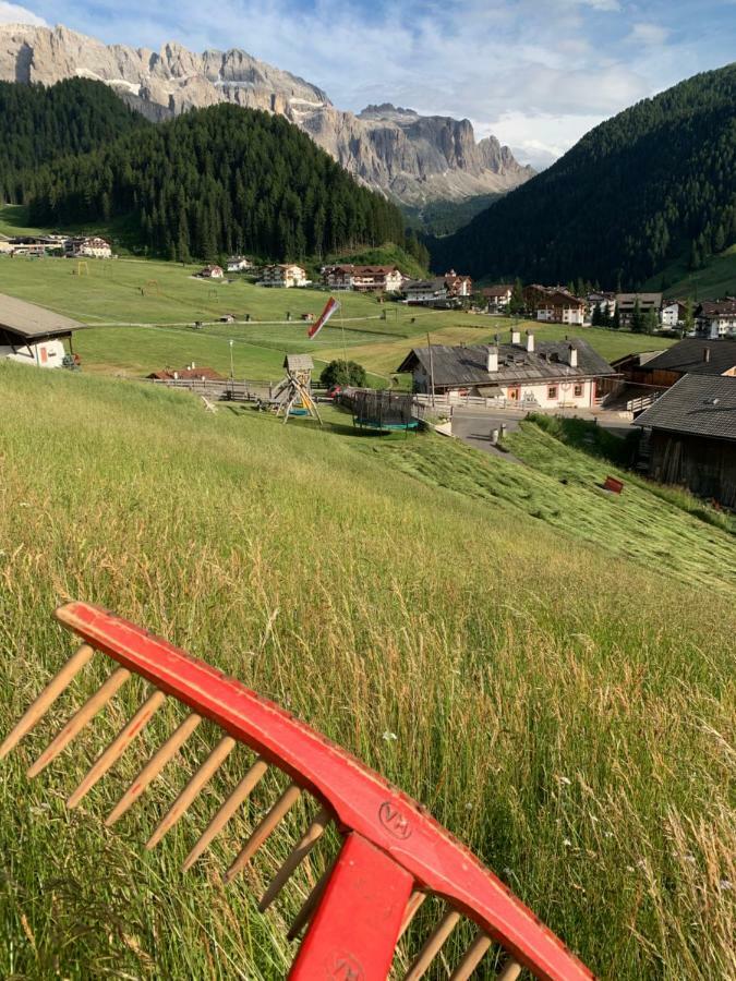 Agriturismo Maso Larciunei Селва ди Вал Гардена Екстериор снимка